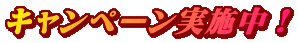 キャンペーン実施中！