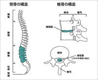 あなたの腰痛はどのタイプ？